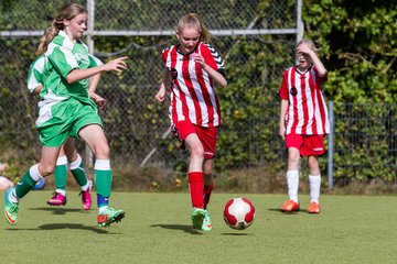 Bild 404 - C-Juniorinnen Kaltenkirchener TS - TuS Tensfeld : Ergebnis: 7:0